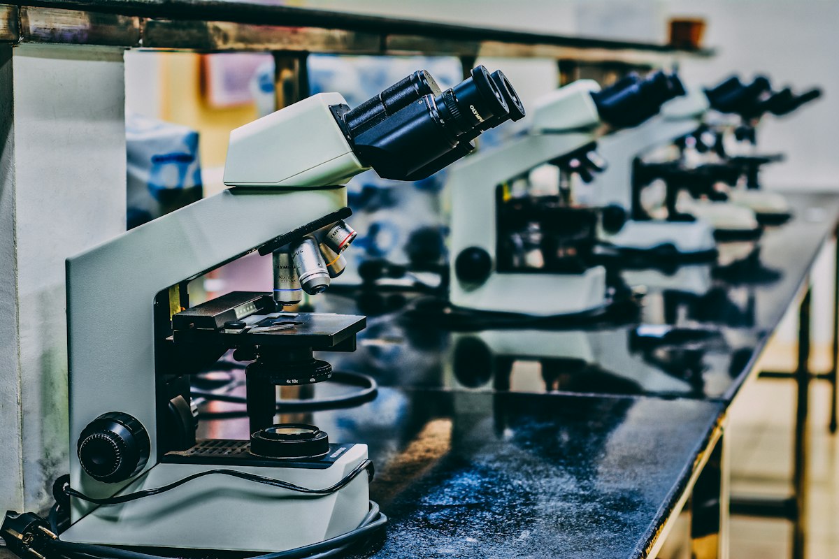 Row of laboratory microscopes